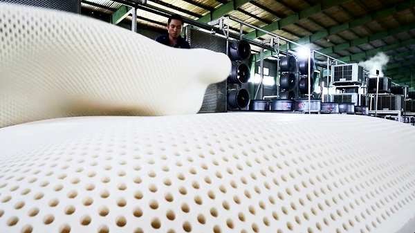 One of the reputable mattress and pillow manufacturing contractors in Binh Duong